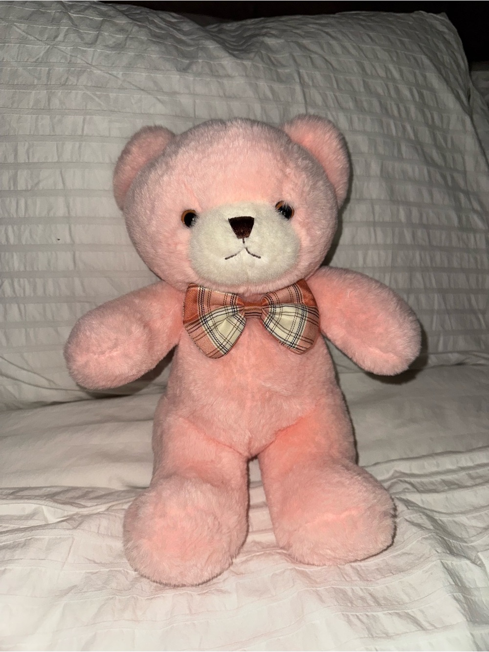 Pink Plush Teddy Bear with Plaid Bow